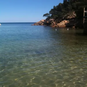  Appartement Splendide 6 P à 150 M Plage, à Pied
